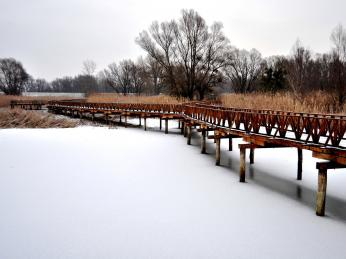 Mokřadní rezervací Kopački rit vás provedou dřevěné mosty 