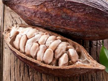 Kakaové boby uvnitř plodu