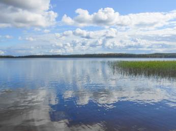 Jezero Suomunjärvi v NP Patvinsuo
