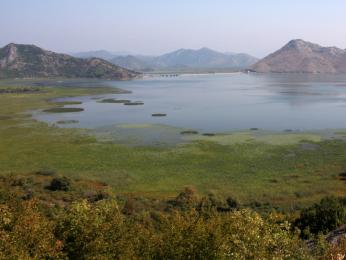 Skadarské jezero je bohaté na faunu i flóru