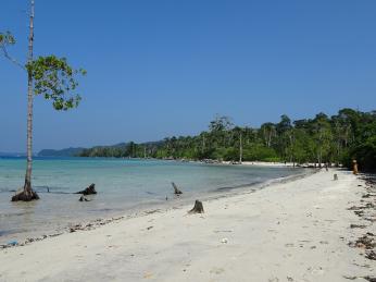 Andamanské ostrovy nabízejí perfektní podmínky k potápění