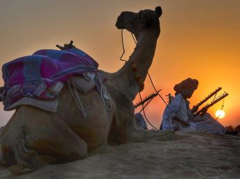 Na velbloudu si můžete udělat výlet do pouště a prožít nádherný západ slunce