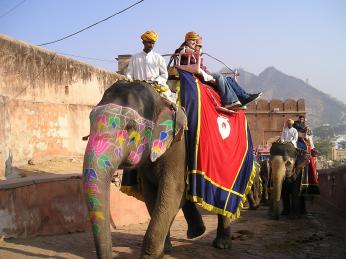 Na hřbetu slona vzhůru k rádžastánské pevnosti Amber 