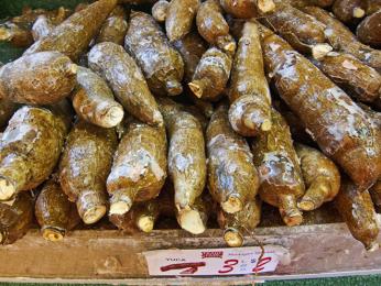 Kasava se na Kostarice používá jako naše brambora