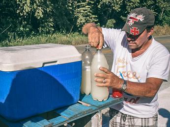 Vino de coyol aneb "palmové víno"