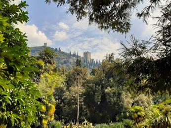 Přístupová cesta k hradu Arco je lemována parkem s olivovými háji