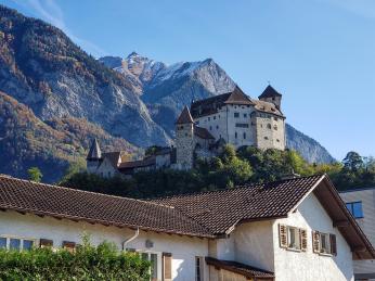Vaduzský hrad stojí na zalesněném kopci s&nbsp;výhledem na štíty hor