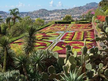 Ikonické květinové "koberce" v&nbsp;Botanické zahradě