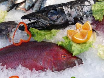 Mořské ryby na Madeiře koupíte za relativně příjemné ceny