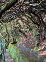 Levada das 25 Fontes patří k nejnavštěvovanějším levádám na Madeiře