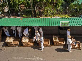 Jízda na proutěných saních z kopce Monte je zajímavý zážitek
