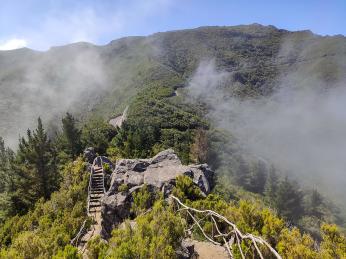 Vyhlídka Pico Redondo uprostřed vavřínových lesů