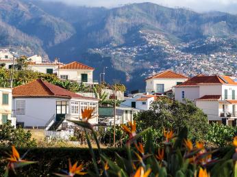 Madeira skýtá široké možnosti ubytování v soukromí