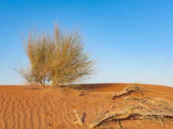 Omán patří k nejteplejším místům planety