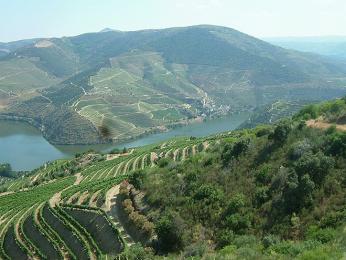 Malebné údolí horního toku Doura a vinice proslulého portského vína