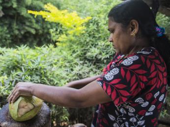 Kokosová voda dodá v tropech potřebnou hydrataci