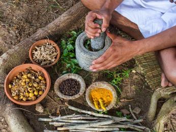 Ajurvédská medicína využívá tradiční bylinky a koření