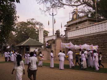 Srílančané odění v bílé přicházejí uctít Buddhův posvátný strom