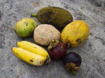 Srílanské plody pozoruhodných tvarů a barev
