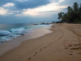Kdo by odolal podvečerní procházce na jedné z pláží Srí Lanky?
