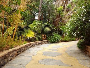 V Jungle parku najdete krásnou subtropickou zahradu