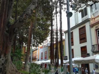 Stinná náměstí v Santa Cruz skýtají příjemné posezení