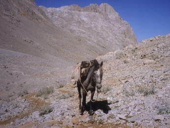 Značená stezka údolím Çimbral v pohoří Ala Dağlari