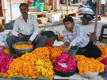 Stánek s květinami, které se používají jako obětiny v hinduistických chrámech