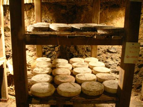 Zrání sýrů Munster v Maison du Fromage
