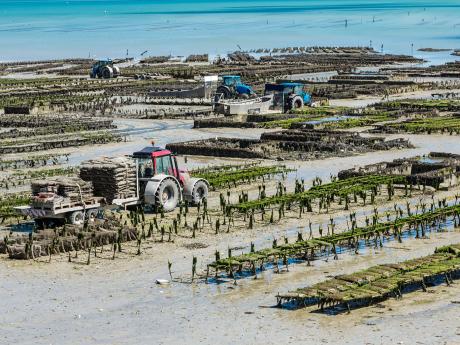 Cancale je francouzským hlavním městem ústřic