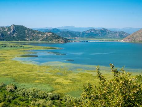 Skadarské jezero je největší na Balkánském poloostrově