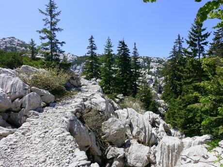 Stezka Premužičeva staza vedoucí po hřebenech Velebitu měří 57 km