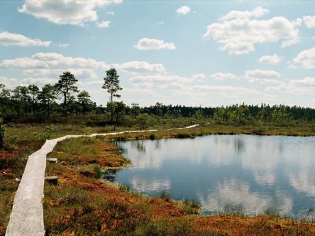 Estonský národní park Sooma