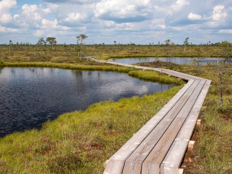 Estonský národní park Sooma