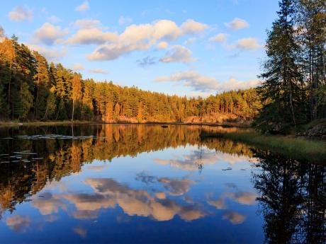 Na podzim hraje NP Nuuksio všemi barvami