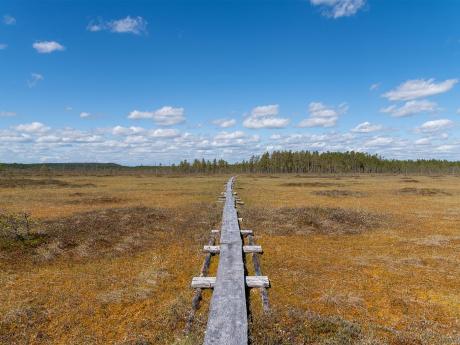 Národní park Patvinsuo tvoří převážně bažiny a mokřady