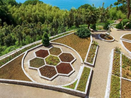 Botanická zahrada u Batumi s množstvím subtropických rostlin