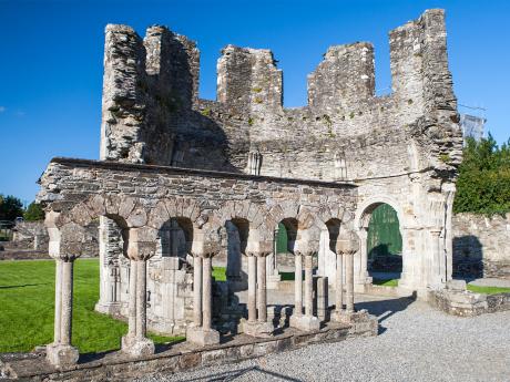 Opatství Mellifont Abbey bývalo hlavním centrem Cisterciáků v Irsku