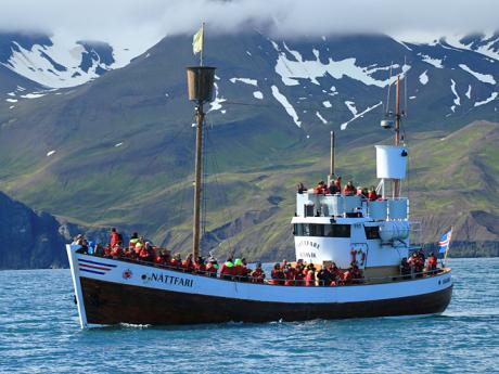 Výletní loď vyrážející na širé moře za velrybami