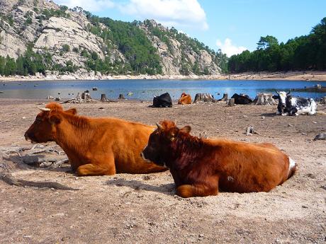 Jezero l´Ospedale zásobuje vodou velkou část Korsiky