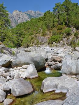 Mezi kameny se klikatící řeka Tavignano