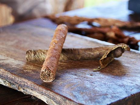 Čerstvě ubalený kubánský doutník na jedné z mnoha tabákových plantáží