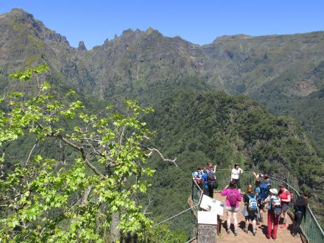 Vyhlídka nad zalesněným údolím Ribeira da Metada