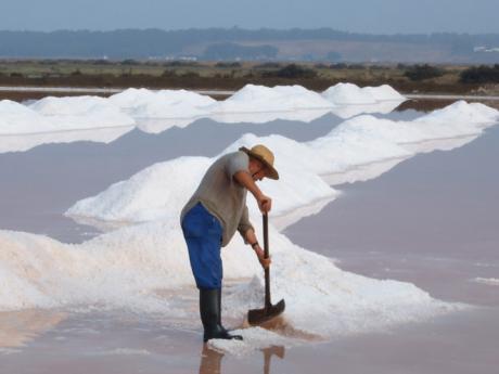 Lixus je známý především díky výrobě soli