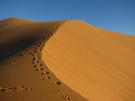 Písečná duna v marocké části Sahary