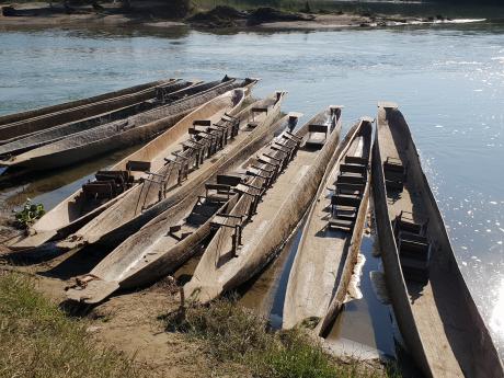 V NP Čitvan se můžete projet po řece dřevěnou vydlabanou lodičkou