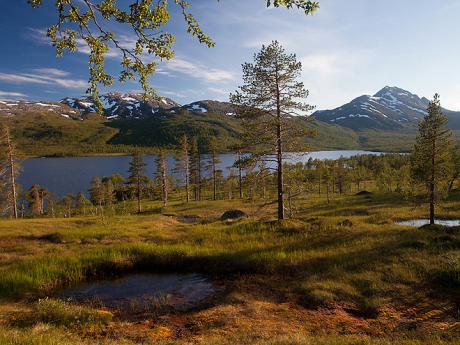 Neporušené borové a březové pralesy s mokřady kolem jezera Åndervatnet