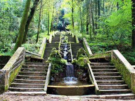 Staré schody v národním parku Buçaco