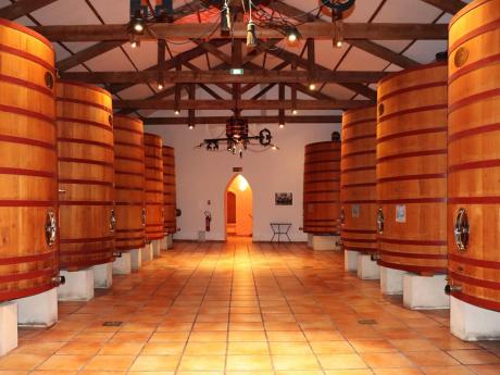 Sklepení s obrovskými sudy jednoho z vinařství v Châteauneuf-du-Pape