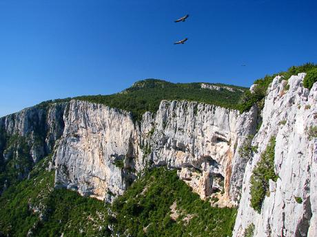 Skály mezi Castellane a Verdonem